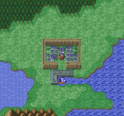 Paloom on the World Map (PS).