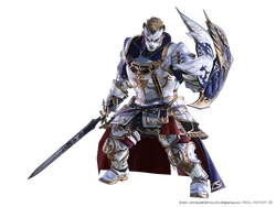 Artifact equipment from Shadowbringers.