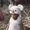 Moogle costume