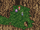 FFVI PC Esper Mountain Ultros and Relm.png