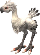FFXI White Chocobo.png (132 KB) Final Fantasy XI.