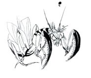 Amano Killer Mantis FFII