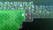 Wyvern Egg placed in the springs (PSP).