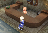 Armor shop (DS/iOS).