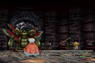 Final Fantasy IX.