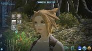 FFXIV Miqote ARR Character Creation