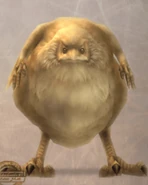 Bestiary entry (PlayStation 2).