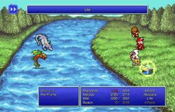 Final Fantasy I (PSP) - 3/4 WoL promoted at Lv. 1 by jedininja97