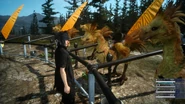 Chocobo stables.