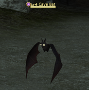 Cave Bat.