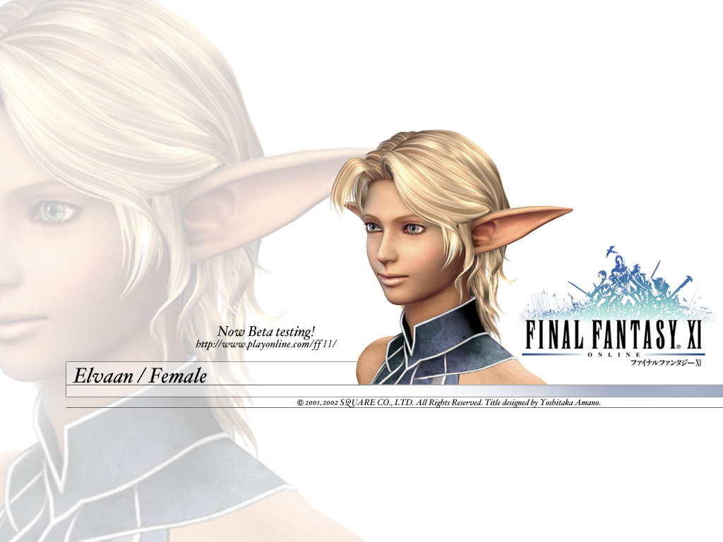 Final Fantasy Xi Wallpapers Final Fantasy Wiki Fandom