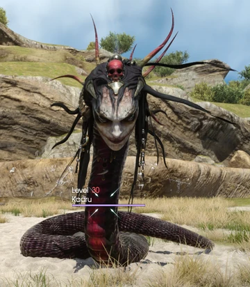 Kadru