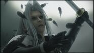 Sephiroth boxing