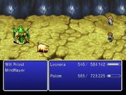 An enemy transformed into a Pig in Final Fantasy IV: The After Years (Wii).