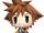 Sora (World of Final Fantasy)