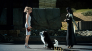 Luna-and-dogs-FFXV