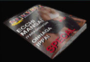 H-Book 2.jpg (15 KB) "Ecchi Manga".