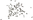 Dung Midge Swarm