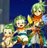 Raff ages.png (320 KB) Aging stages.