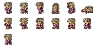 Set of Terra's Wardrobe Record sprites.