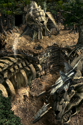 Excavation site