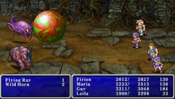 Final Fantasy II (PSP).