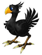 Black Chocobo.