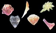 Crystals all copy.png (2.84 MB) From left to right: Lightning's, Snow's, Sazh's, Vanille's, Hope's, and Fang's summon crystals in Final Fantasy XIII.