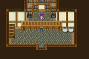 FFV Carwen Magic Shop