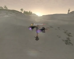 FFXI Amorphic Spikes