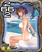 487a Steam Echo (JP).png (182 KB)