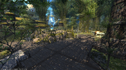 Central Shroud - Bentbranch Meadows from Final Fantasy XIV