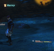 A guest party member.