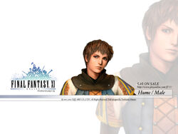 Final Fantasy Xi Wallpapers Final Fantasy Wiki Fandom