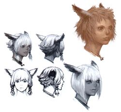 Miqo Te Final Fantasy Wiki Fandom
