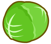 Cabbage CCT