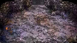 Cave of Shadows.jpg