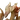Kukulcan X2 portrait