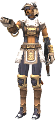 Final Fantasy XI Beastmaster Guide - MMOPIXEL