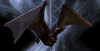 VS-enemy-bat