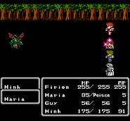 Final Fantasy II (NES).