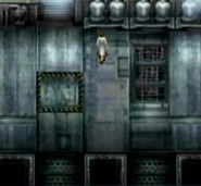 BCShera.jpg (14 KB) BCShera