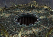 Tree Roots elevator.