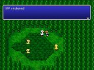 Final Fantasy IV: The After Years (Wii).