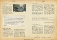 FF16 LOGOS Book Hideaway.jpg (1.26 MB)