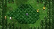 FF4PSPChocoboForest