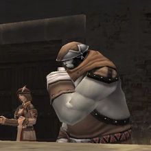 Chocobo Races (Final Fantasy XI) | Final Fantasy Wiki | Fandom