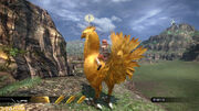 Chocobo question mark