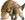 Sewer Mole