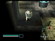 Crystal Shield in Ehrgeiz: God Bless the Ring.